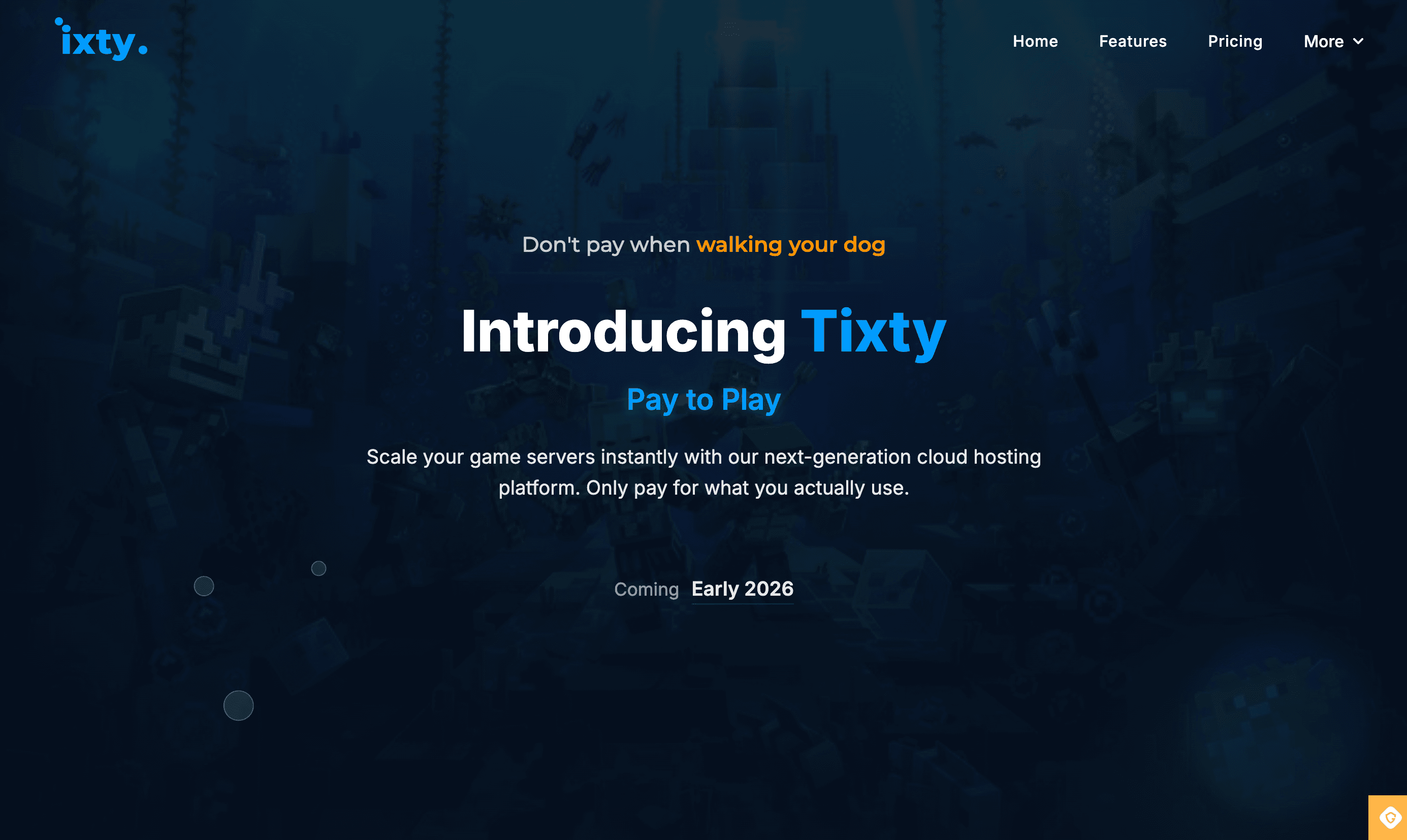 Txity - Game Server Hosting project screenshot